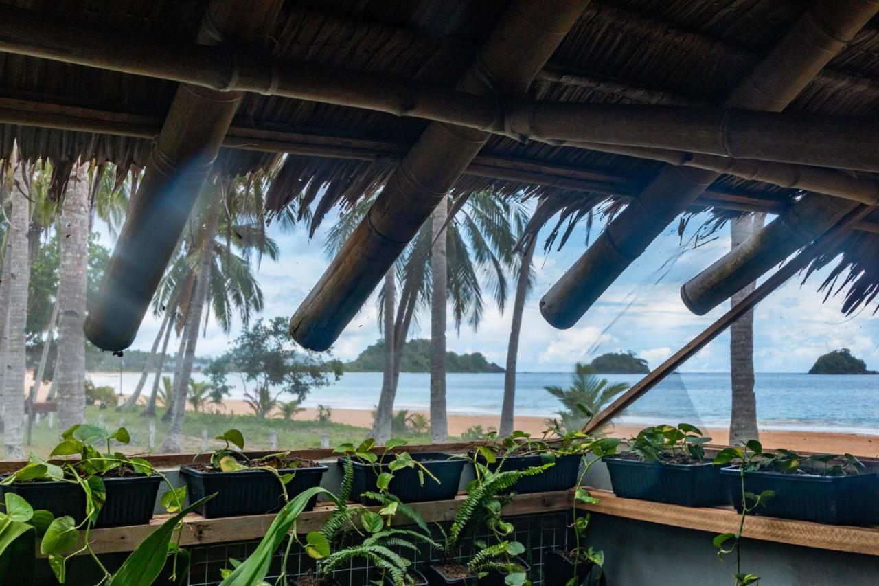 Eco Sanctuaries Nature Lodge Nacpan Beach, Эль-Нидо Экстерьер фото
