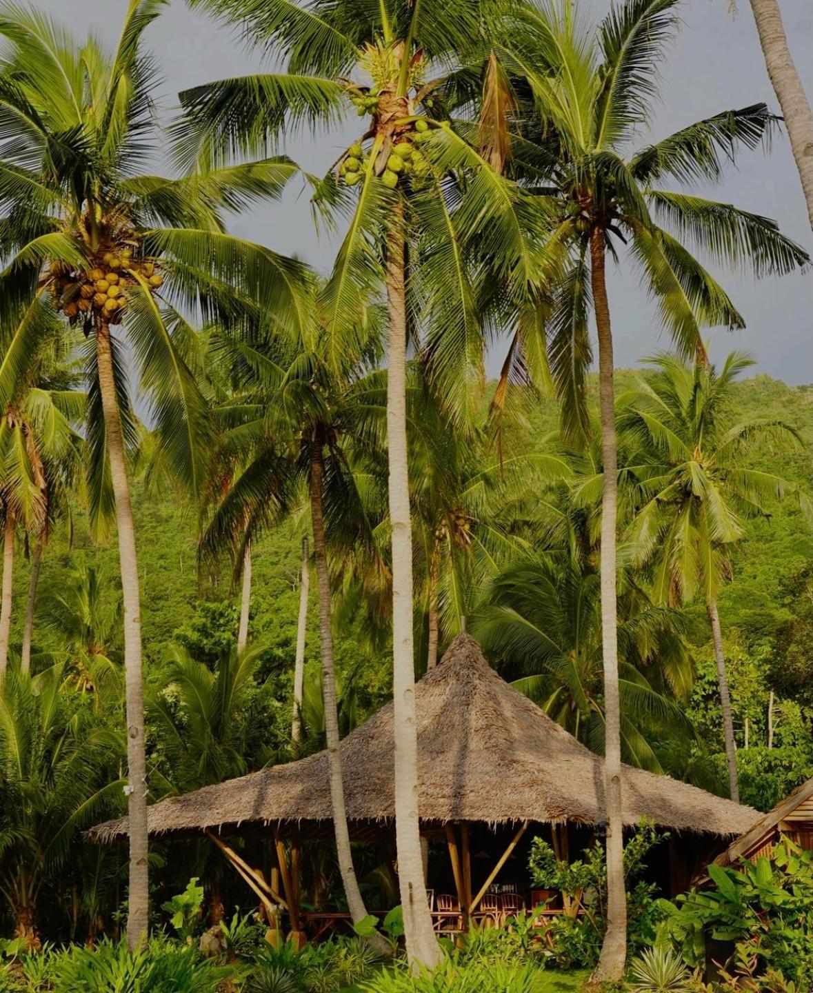 Eco Sanctuaries Nature Lodge Nacpan Beach, Эль-Нидо Экстерьер фото