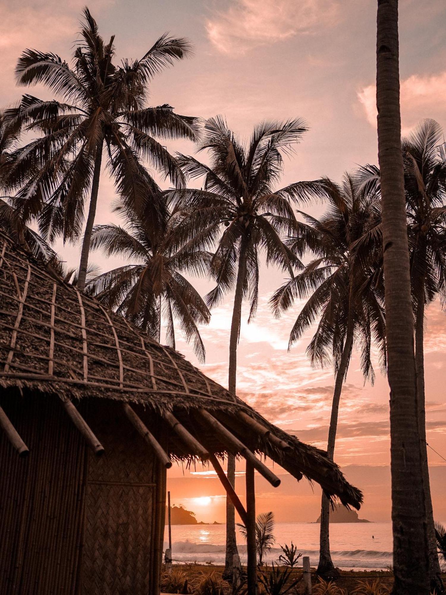 Eco Sanctuaries Nature Lodge Nacpan Beach, Эль-Нидо Экстерьер фото